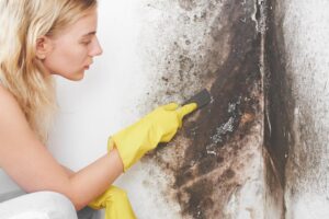 Should I Clean Black Mold Myself? | South Sound Water Recovery