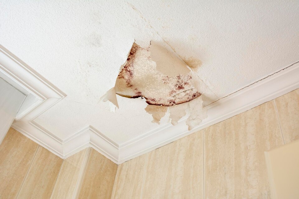 Where is Water Damage Most Common?